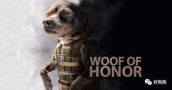 娱乐吃瓜汪星人是谁啊